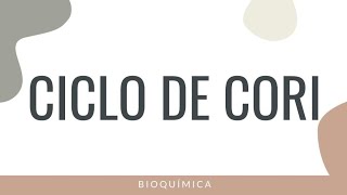 💪CICLO DE CORI  ¿Cuándo ocurre FUNCIÓN Relación con RUTAS METABÓLICAS  Met de Carbohidratos [upl. by Roosnam]