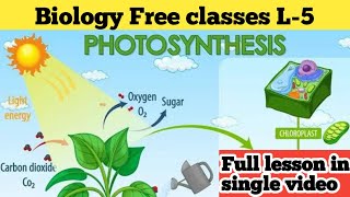 L5 Photosynthesisbiology classes in Telugu for all competitive exams [upl. by Haissem]