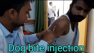 कुत्ते काटने का इंजेक्शन कैसे लगाते हैंDog bite vaccine [upl. by Prisca189]