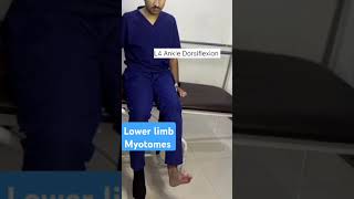 Lower limb Myotomesyoutubeshortsphysiotherapytreatmentdoctormyotomes [upl. by Niala189]