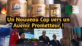 La Fièvre El Mordjene  Quand le Canada Craque pour la Saveur Algérienne [upl. by Anawit]