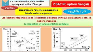 Modélisation de lévolution du stock de matière organique du sol [upl. by Lledrev]