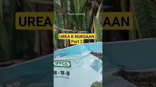 Urea fertilizer  Organic Nitrogen Part 2 farming garden gardening organic urea nitrogen [upl. by Einitsed391]