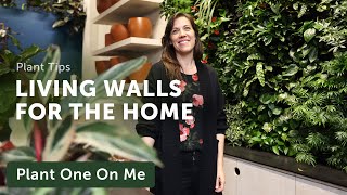 LIVING WALLS amp VERTICAL GARDEN Systems — Ep 366 [upl. by Daiz]