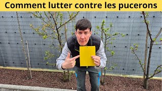 Comment lutter contre les pucerons [upl. by Omlesna]