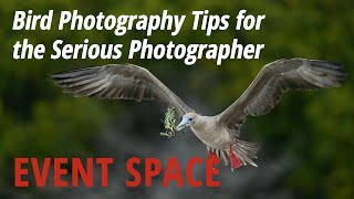 Bird Photography Tips for the Serious Photographer [upl. by Retswerb]