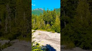 Water coming from the mount rainier snowwash snow water snowmelt [upl. by Nylidnam]