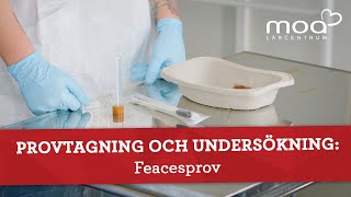 Provtagning och undersökning  Feacesprov [upl. by Schindler252]