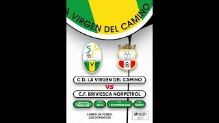 Resumen CD Virgen del Camino  CF Briviesca [upl. by Nodnar]