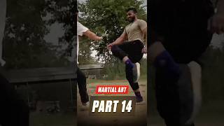 Part 14 Half Part🚨 youtubeshorts martialartsforlife martialartslifestyle training shorts [upl. by Nelrac596]