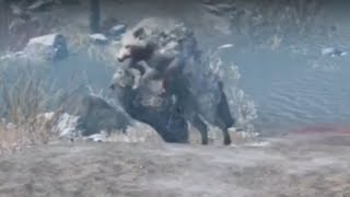 Far cry primal Snowblood Wolf takedown [upl. by Nalyac]