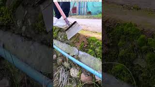 This boy earns many dollars a month by cleaning the streets 😱 amazing shortvideo [upl. by Ecnesse584]