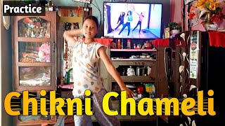 Chikni Chameli Song Dance Cover  Dance With Ritika [upl. by Remle]