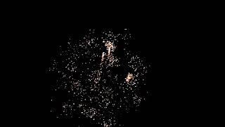 0 8“ 200 shots compounds compoundcakes chinaskyfireworks fireworksfactory chinaskypyrotechnics [upl. by Anyalram469]