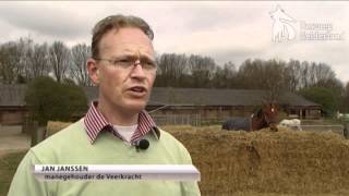 Rhinovirus strop voor manege Heumen [upl. by Esilahs]