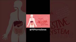 Human Digestive System PSPharmaSense digestivesystem humananatomyandphysiology biology neet [upl. by Alleb]