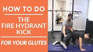 Glute activation exercise how to activate glutes with fire hydrant kick [upl. by Yvan319]