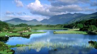 Irish Trad Tin Whistle and Cello LIVE [upl. by Gawain990]