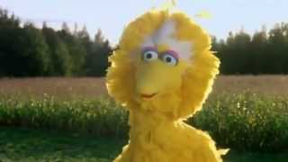 Big Bird Gets Killed By Mitt Romney [upl. by Wyon]