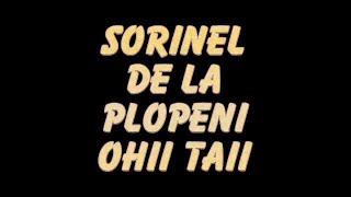 SORINEL DE LA PLOPENI OCHII TAI [upl. by Inalel859]