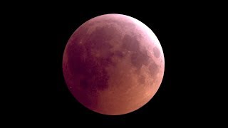 Mondfinsternis Livestream von Astroclub Radebeul eV [upl. by Atinrev474]