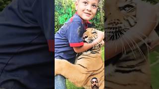 Naughty Kid Playing With Bengal Tiger 🐯 🐯 🐯 Nouman Hassan [upl. by Amado]