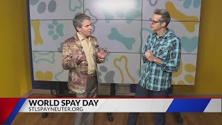 Learn about World Spay Day with STL Spay Neuter [upl. by Aihcila]