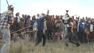 Emgangeni  umgangela Zulu stick fighting 29 May 2023 [upl. by Zaller]