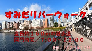 すみだリバーウォーク 全長約１６０ｍの遊歩道 撮影：2023年12月 [upl. by Chally]