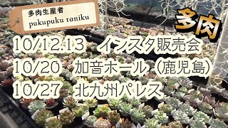 インスタ販売会、多肉販売イベント「鹿児島」「北九州」 多肉生産者「pukupuku taniku」 [upl. by Peggi]