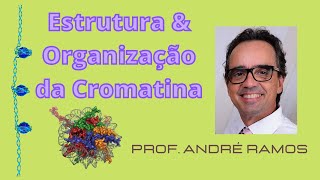 Estrutura e Organização da Cromatina Descomplicando os cromossomos [upl. by Shelbi123]