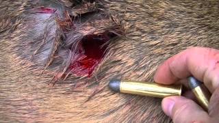 Marlin 4570 Deer Kill Shot with 405 grain round [upl. by Lyj]