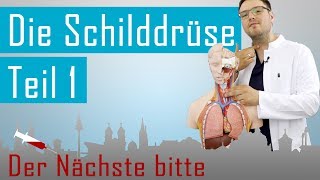 Der DocPod  Schilddrüse 1  Besuch in der Anatomie [upl. by Haidedej]