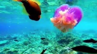 Ellaidhoo Malediven 20152016  GOPRO HERO 3 [upl. by Luelle964]