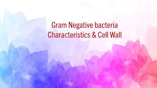 Gram Negative Bacteria  Characteristics amp Cell Wall [upl. by Ynez]