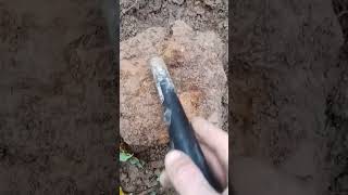 Nokta simplex BT metal detecting [upl. by Papotto]