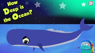 How Deep Is The Ocean  OCEAN DEPTH  Dr Binocs Show  Peekaboo Kidz [upl. by Thais]