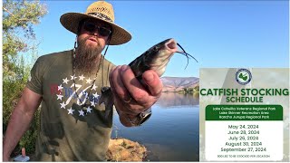 Catfish Stocking  Lake Skinner  Fishing Report  Sept 2024 [upl. by Acinom151]