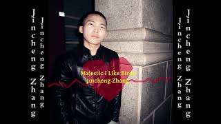 Jincheng Zhang  Marrow I Like Birds Official Audio [upl. by Mikihisa]