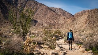 Anza Borrego Desert Campout w Palm Canyon Hike [upl. by Wong367]