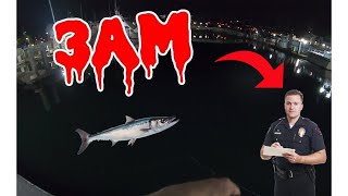 BARRACUDA FISHING at 3AM Cops Called [upl. by Luther959]