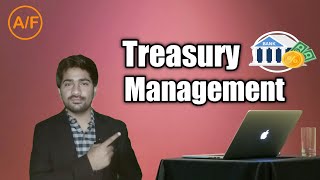 What is Treasury Management in HindiUrdu [upl. by Chicoine]