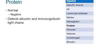 How to Read a Urinalysis Result [upl. by Av]