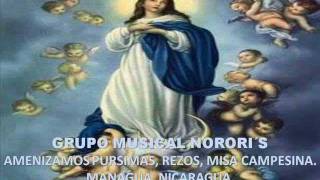 SALE AL MUNDO LA PURÍSIMA MINISTERIO ALABANZAS AL SEÑOR [upl. by Jehoash782]