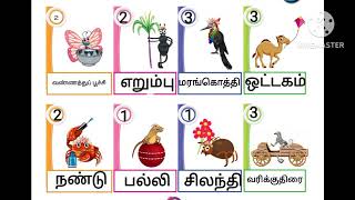 std 3 Tamil book lesson 1 term 2 காட்டில் திருவிழா book back answers மழைத் துளி [upl. by Brunk]