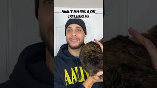 Finally Meeting a Cat That Likes Me… darkhumor comedyshorts funnyshorts comedian [upl. by Annoerb6]