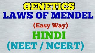 Genetics  Laws of Mendel Easy Way Hindi [upl. by Ttergram828]