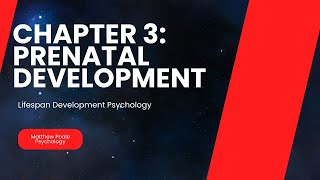 Lifespan Development Psychology  Chapter 3 Prenatal Development [upl. by Belak662]