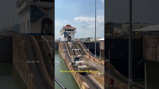 Transiting the Panama Canal after ages panamacanal panama shipping merchantnavy shortsviral [upl. by Semela221]