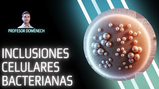 INCLUSIONES CELULARES BACTERIANAS [upl. by Hermina]